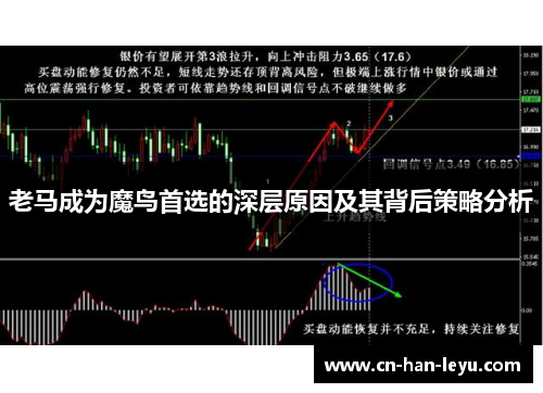 老马成为魔鸟首选的深层原因及其背后策略分析 老马成为魔鸟首选的深层原因及其背后策略分析