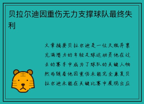贝拉尔迪因重伤无力支撑球队最终失利 贝拉尔迪因重伤无力支撑球队最终失利